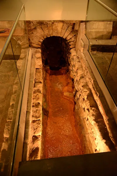 DSC_2640 (Large).JPG